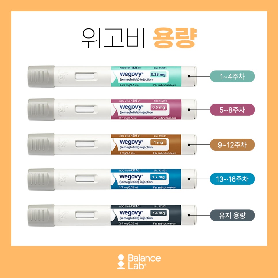 위고비 용량조절, 제대로 된 감량을 위한 필수 조건✨ 관련 이미지 5
