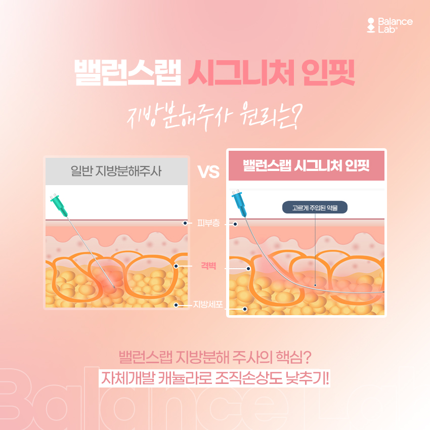 비만수액을 활용한 지방분해주사 원리는? 관련 이미지 4