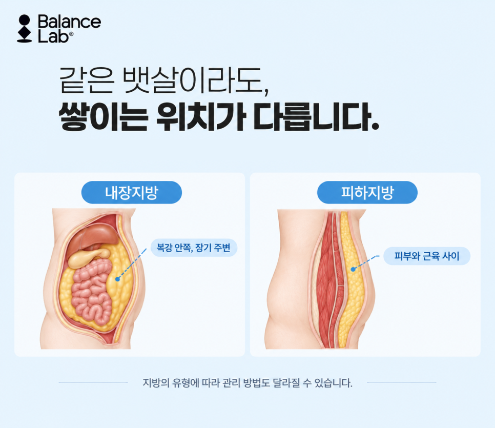 뱃살빼는법, 운동만으로 안 빠진다면? 복부지방흡입과 지방추출주사 관련 이미지 2