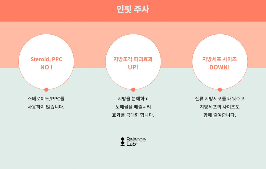 부위별로 감량이 가능한 신사지방분해주사 관련 이미지 8