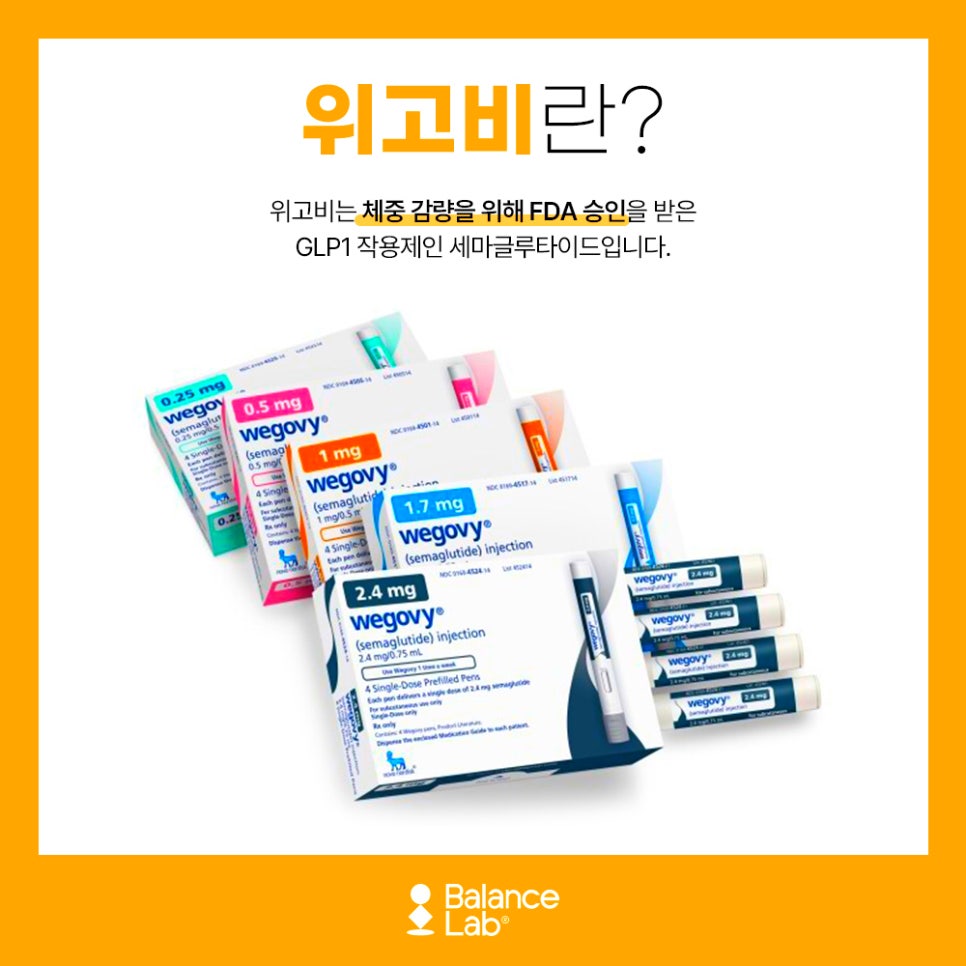 1:1 맞춤 진료로 위고비부작용 없이 다이어트하는 방법 관련 이미지 2