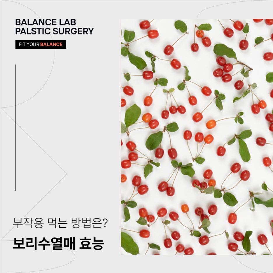 보리수열매 효능과 부작용 먹는 방법은? 관련 이미지 1