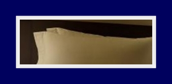 SIT Surgery That Can Simultaneously Improve Underarm Odor, Bromhidrosis, and Hyperhidrosis image 25