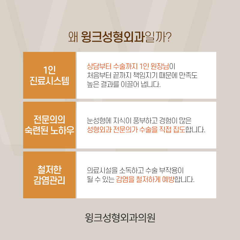 인아웃연예인은 누가 있을까? 윙크성형외과와 알아보는 쌍꺼풀 라인 종류! 관련 이미지 9