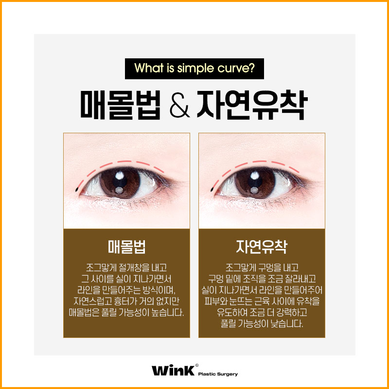 A Natural, Smooth Curved Line That Suits My Eyes! image 5