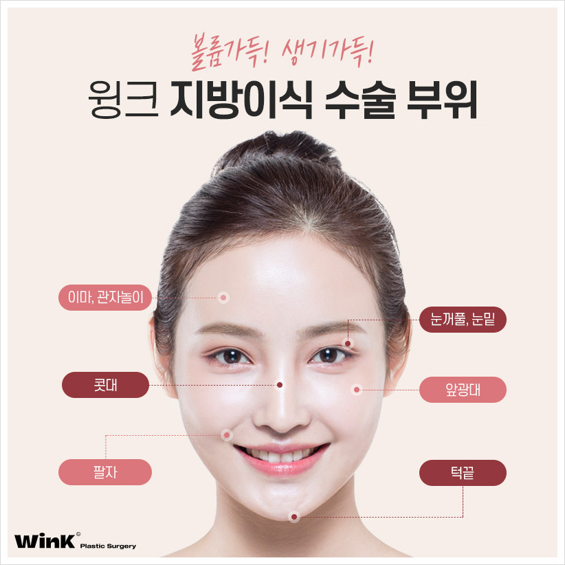 자가지방이식 어디서? 윙크성형외과 얼굴지방이식후기 이마지방이식가격 관련 이미지 4