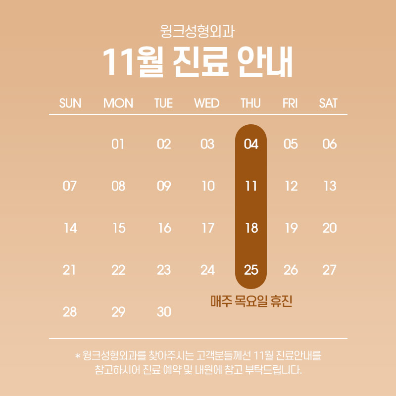 Wink Plastic Surgery November Closure and Clinic Schedule image 1
