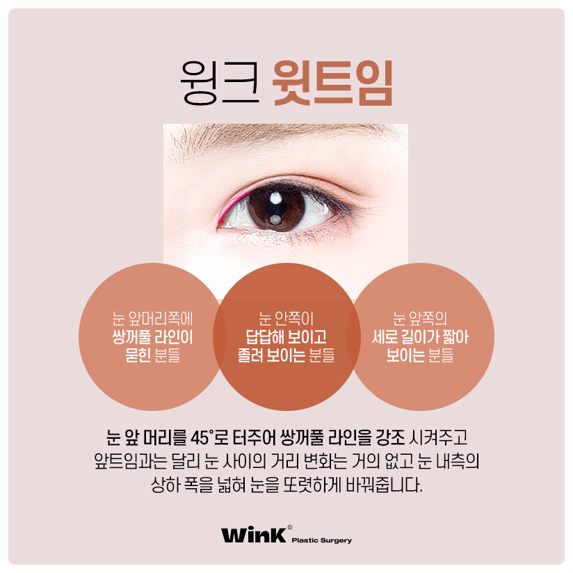 Types of Eye Corner Surgery: Reviews of Epicanthoplasty, Upper Canthoplasty, Canthoplasty Before and After, Lower Canthoplasty Price, and Wink Plastic Surgery image 3