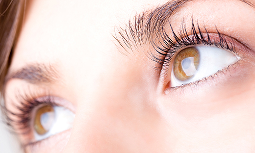 Why Does a Double Eyelid Fold Disappear After Double Eyelid Surgery? image 5