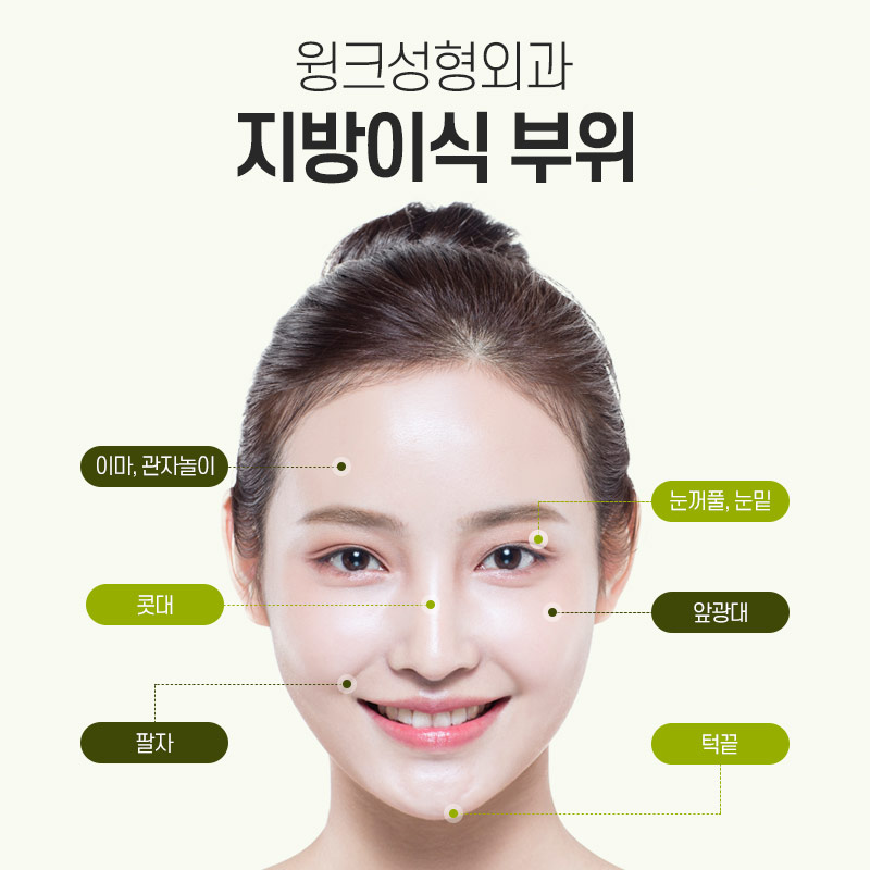 Wink Plastic Surgery Facial Fat Grafting for a More Contoured Face image 4