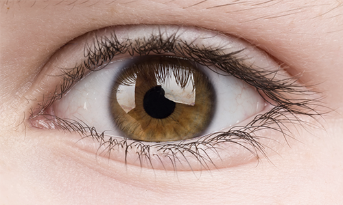 Double Eyelids: If You're Wondering Which Shape Will Suit You image 4