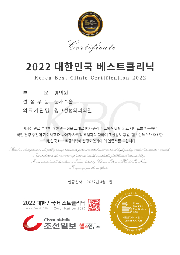 Wink Plastic Surgery Selected as a 2022 Korea Best Clinic image 1