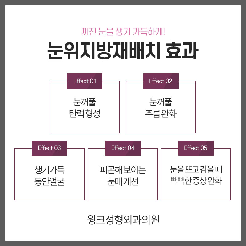 눈위 지방재배치에 대해 알아보겠습니다. 관련 이미지 5