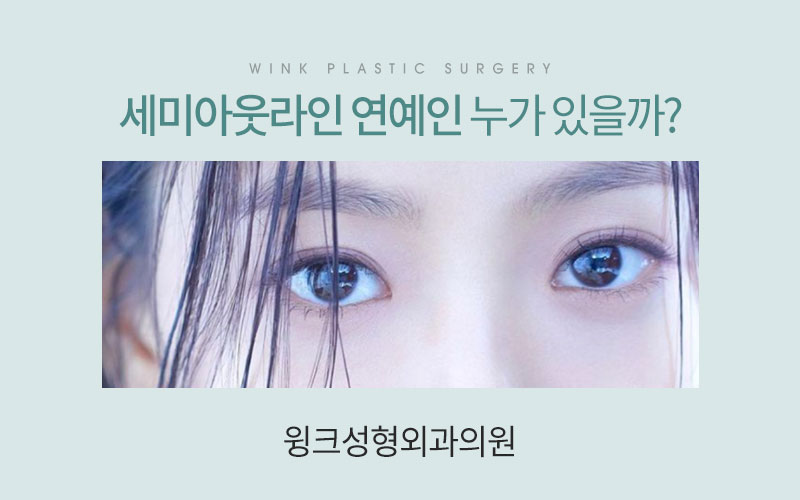세미아웃 연예인 누가 있을까? 관련 이미지 1
