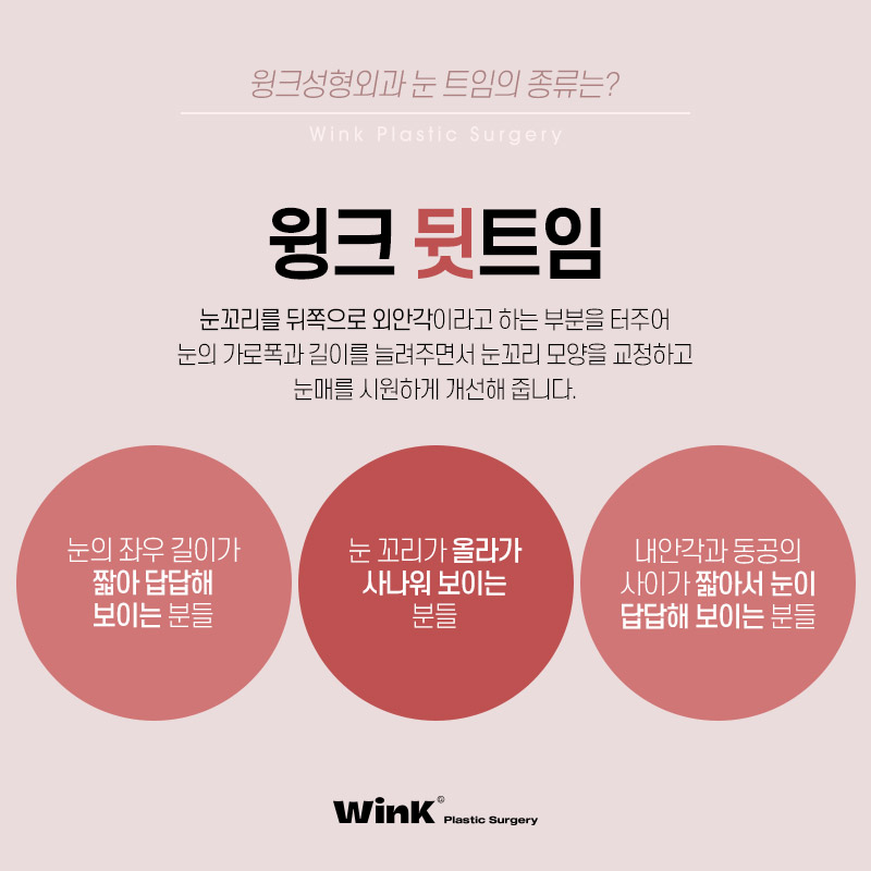 Various Types of Eye Corner Surgery Explained by WINK Plastic Surgery! Which Type Is Right for Me? image 4