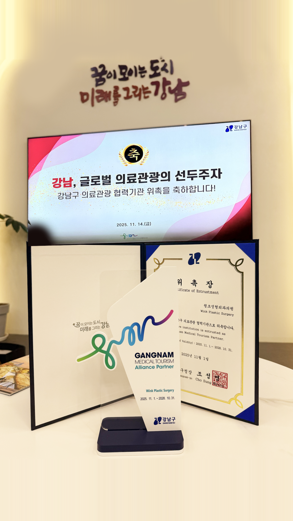강남구 의료관광 협력기관 선정/윙크성형외과 관련 이미지 1