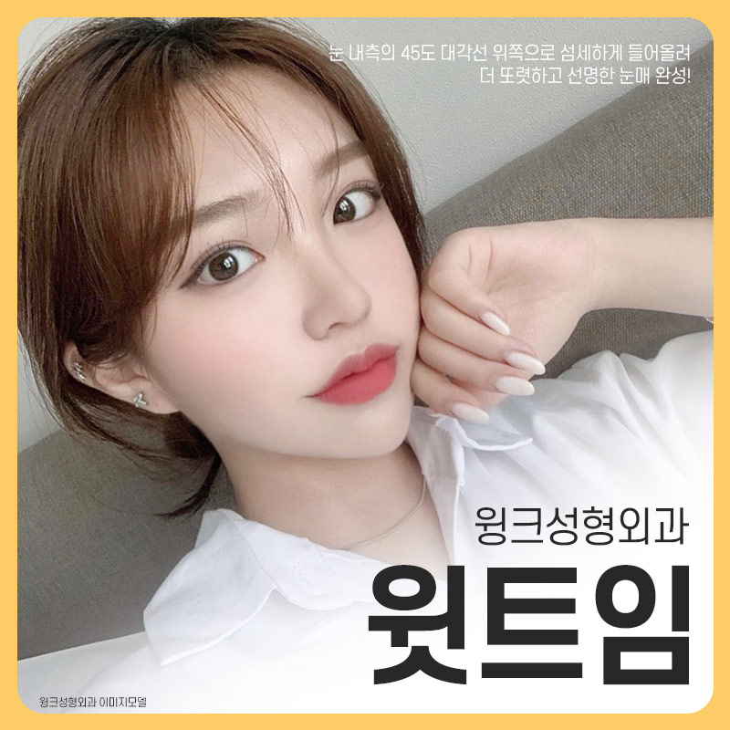 Wink Plastic Surgery Upper Epicanthoplasty for a Line Visible from the Inner Corner image 1