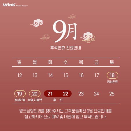 Wink Plastic Surgery August and September Closure and Clinic Information image 2