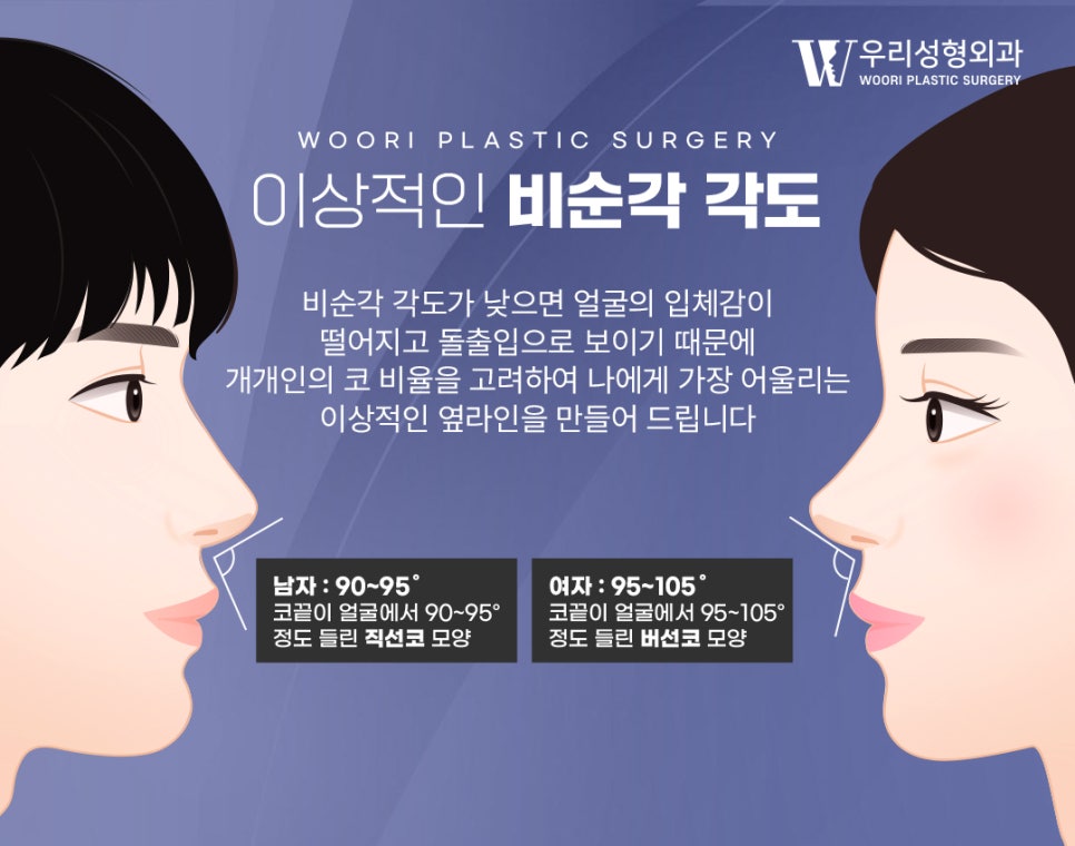 복코성형 코끝이 뭉툭해 보이는 이유는? 관련 이미지 5