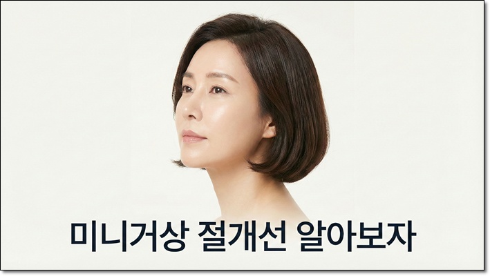 미니거상가격 절개라인 알아보자 관련 이미지 1