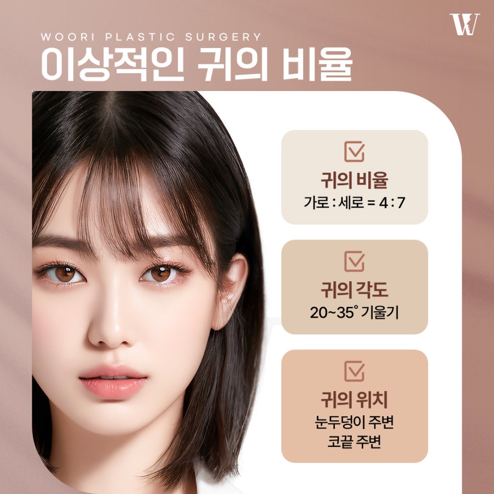 귀형태 얼굴 비율과 조화를 이루는 기준은? 관련 이미지 2