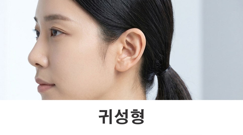 귀성형이 필요한 경우와 이상적인 귀 비율 알아보기 관련 이미지 1