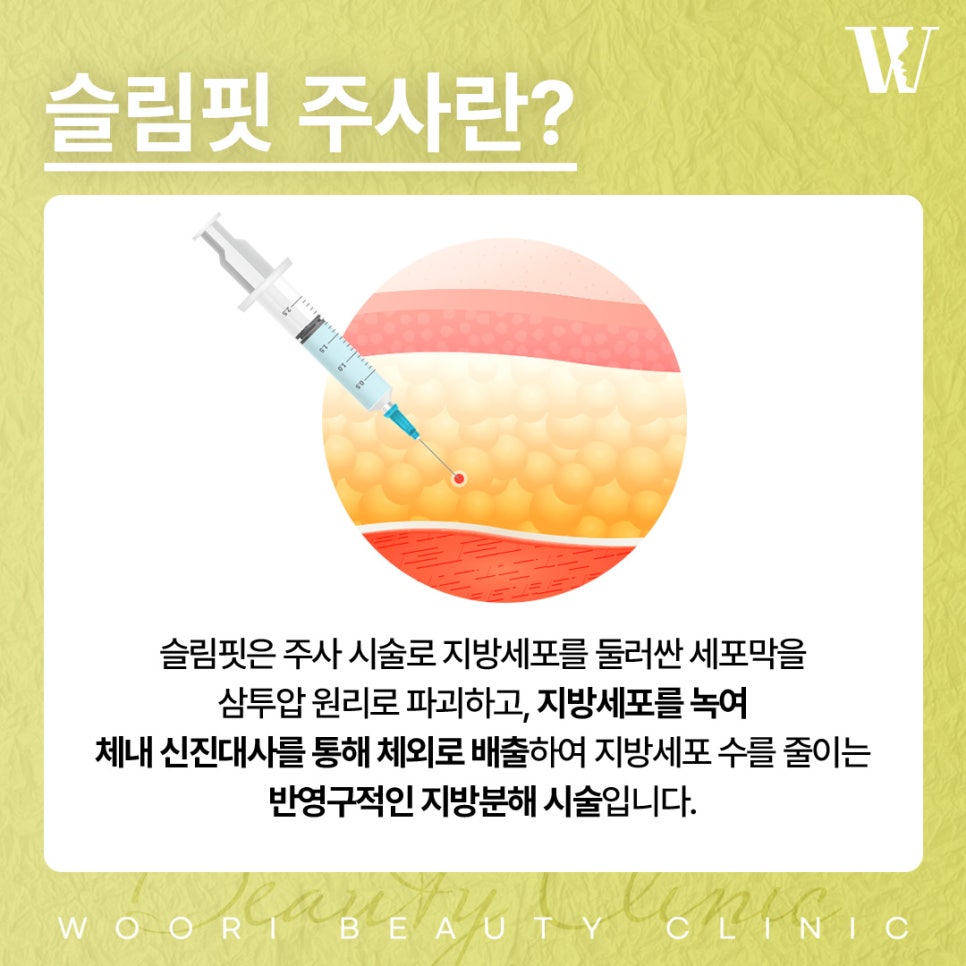 팔뚝지방분해주사 이런 팔라인에서 고민 관련 이미지 2