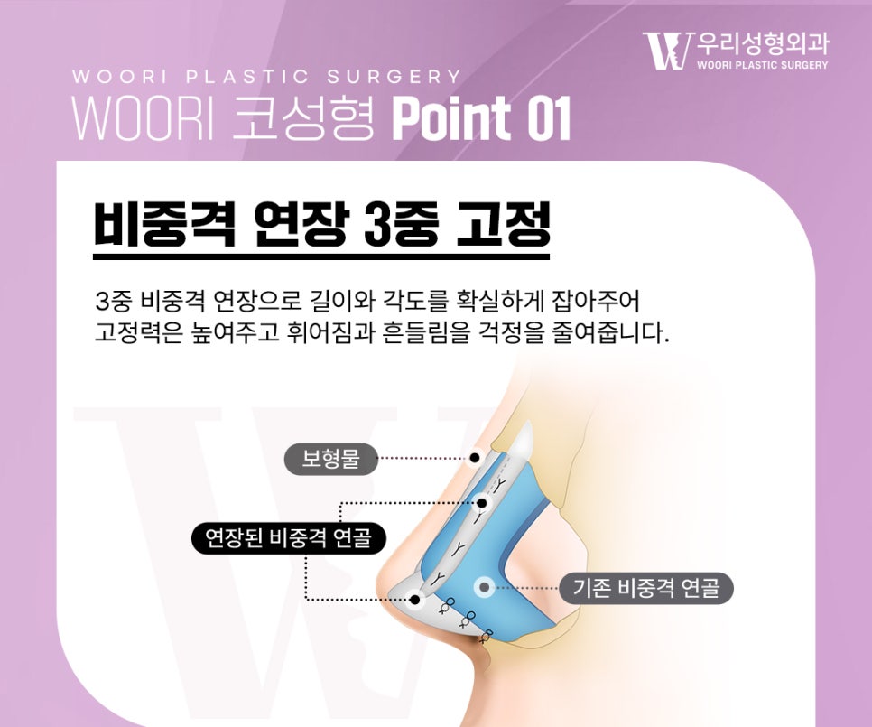 Standards for a Natural-Looking Nose That Harmonizes with the Face image 2