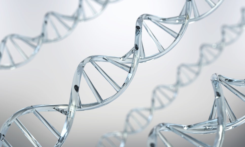 Advanced Regenerative Medicine: A Medical Field Expanding New Treatment Possibilities image 1