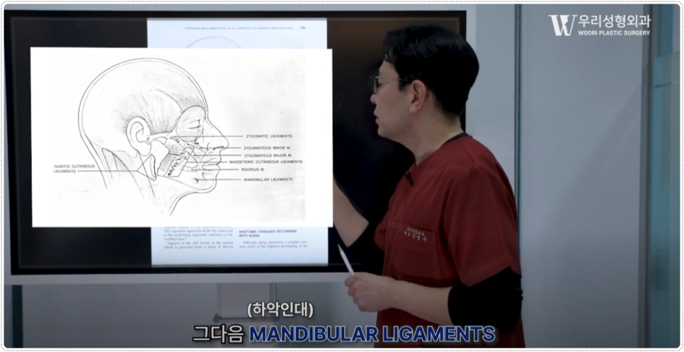 안면거상술 후기 효과 좋으려면? 관련 이미지 3