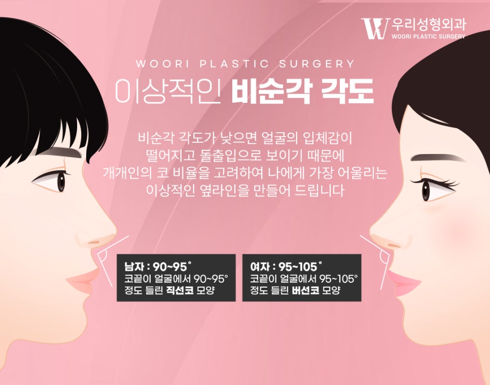 코성형 코끝부터 비순각까지 함께 보는 이유 관련 이미지 3