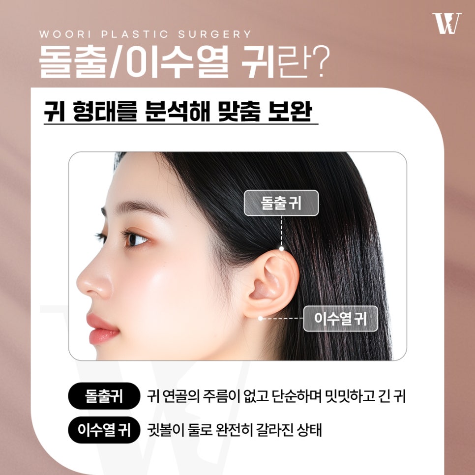 귀형태 얼굴 비율과 조화를 이루는 기준은? 관련 이미지 3