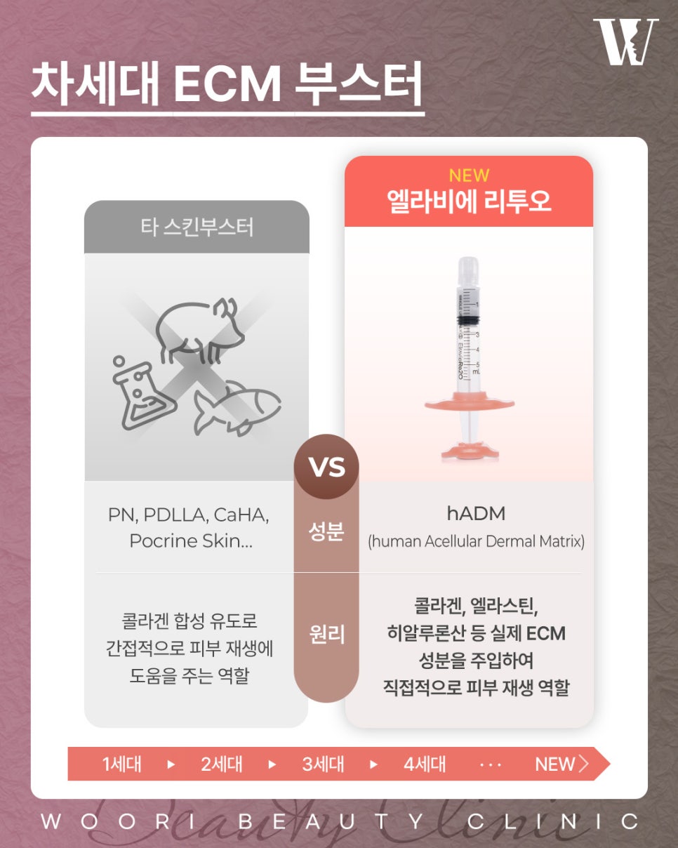 엘라비에리투오 피부 속부터 차오르는 볼륨이란? 관련 이미지 5