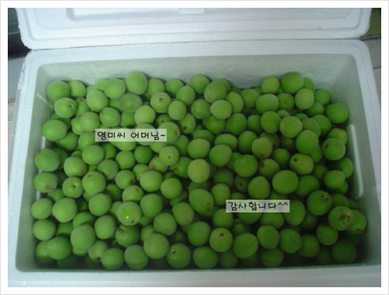 김영미님 어머님께서 보내주신 매실~♡ [in 치아교정과] 관련 이미지 1