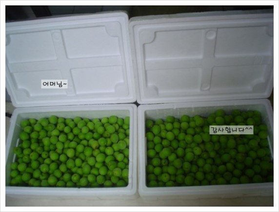 김영미님 어머님께서 보내주신 매실~♡ [in 치아교정과] 관련 이미지 3