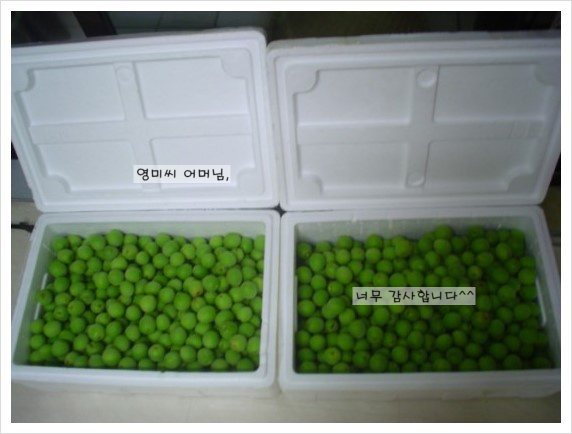 김영미님 어머님께서 보내주신 매실~♡ [in 치아교정과] 관련 이미지 2