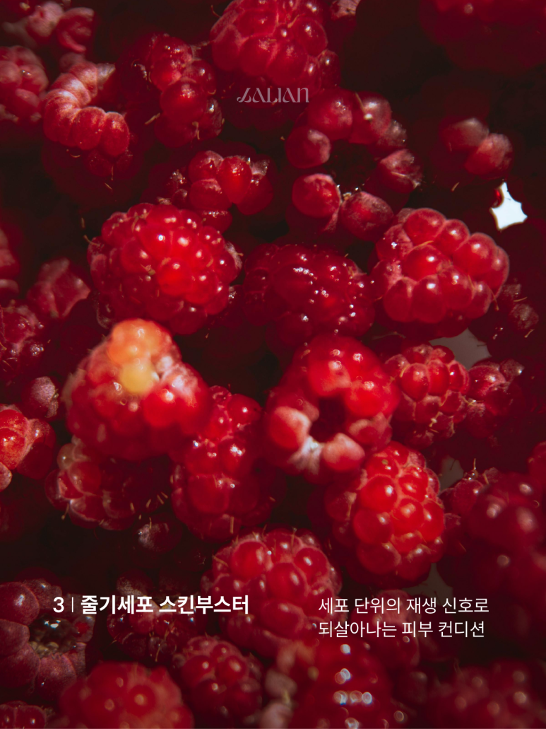 청담 리커버리 지친 피부를 위한 솔루션 관련 이미지 4