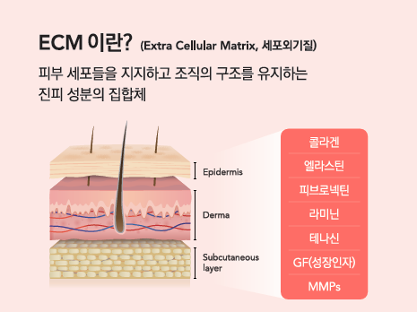 레누바 renuva 할리우드 항노화 시술/ 엘라비에리투오 Elravie Re2O 진피재생 항노화 시술, 진정한 안티에이징 관련 이미지 4