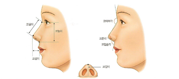 Q. What is the difference between male nose surgery and female nose surgery? image 1