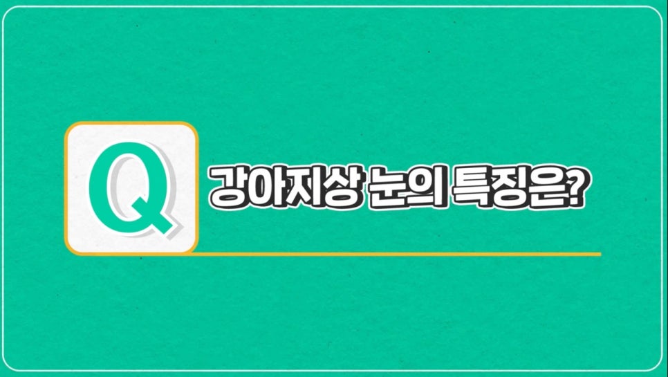 #에이비성형외과#에이비#눈성형#강아지상#고양이상 관련 이미지 1