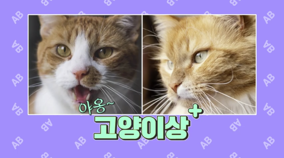[칼럼] 오징어게임 관련 이미지 4