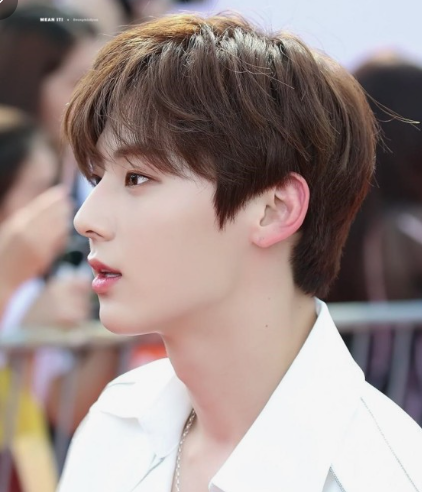 Q. 첫 코 고민 중인데 라인이 대체 뭐죠? 관련 이미지 1