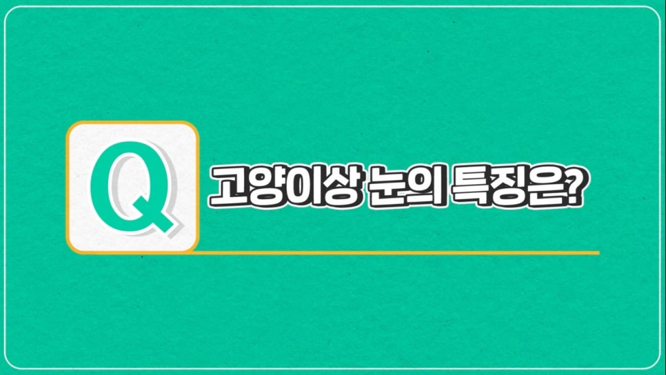 #에이비성형외과#에이비#눈성형#강아지상#고양이상 관련 이미지 3