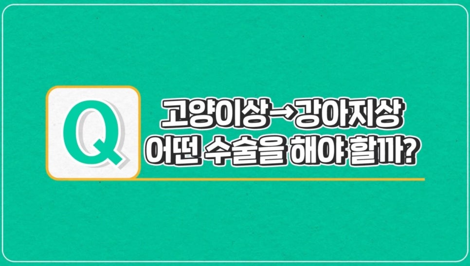 #에이비성형외과#에이비#눈성형#강아지상#고양이상 관련 이미지 5
