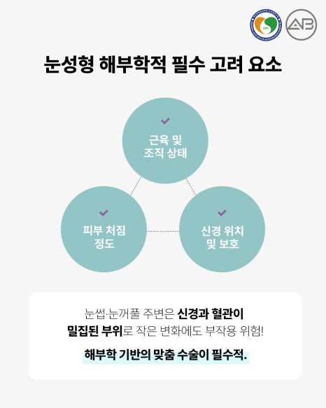 에이비성형외과 눈성형연구회에서 관련 이미지 4