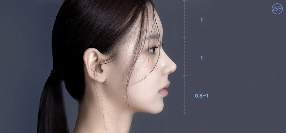 에이비성형외과 코성형 잘되는 코, 따로 있을까? 관련 이미지 3