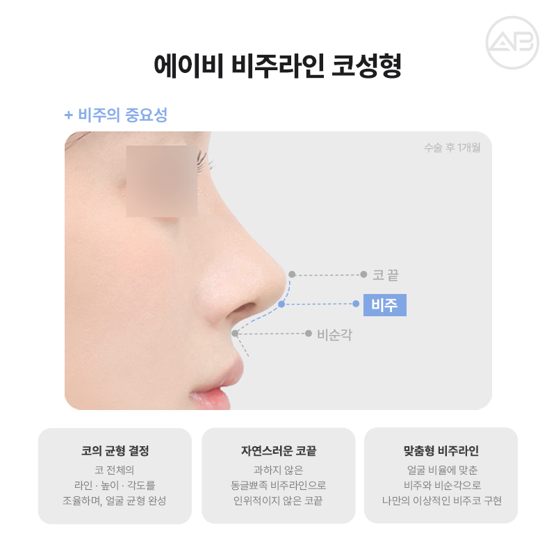자려한비주라인코성형 AB성형외과에서 완성해보세요 관련 이미지 3