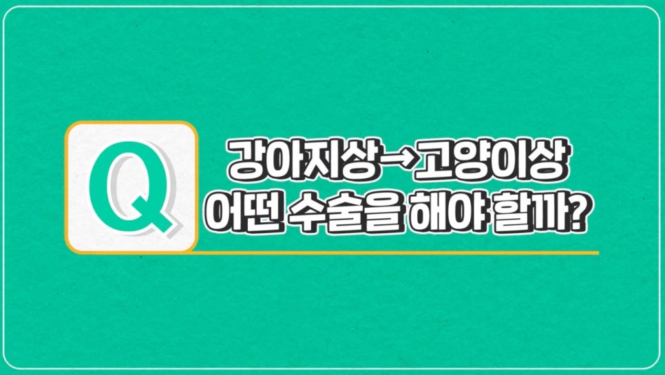 #에이비성형외과#에이비#눈성형#강아지상#고양이상 관련 이미지 6