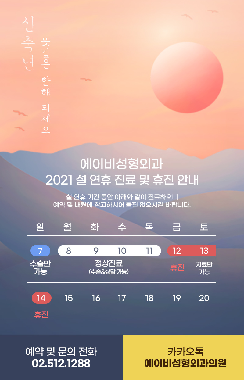2021년 에이비성형외과 설 연휴 진료 및 휴진 안내 관련 이미지 1