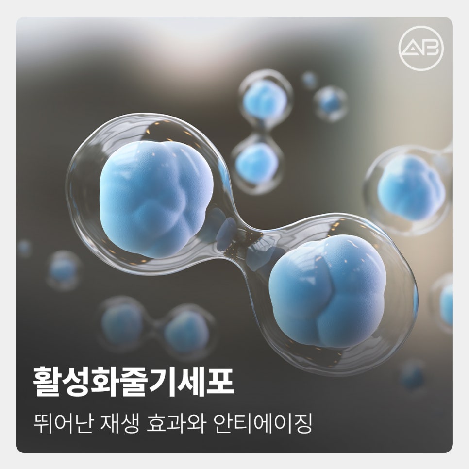 에이비성형외과 활성화줄기세포 안티에이징 안전성 종류 재생 효과 관련 이미지 1